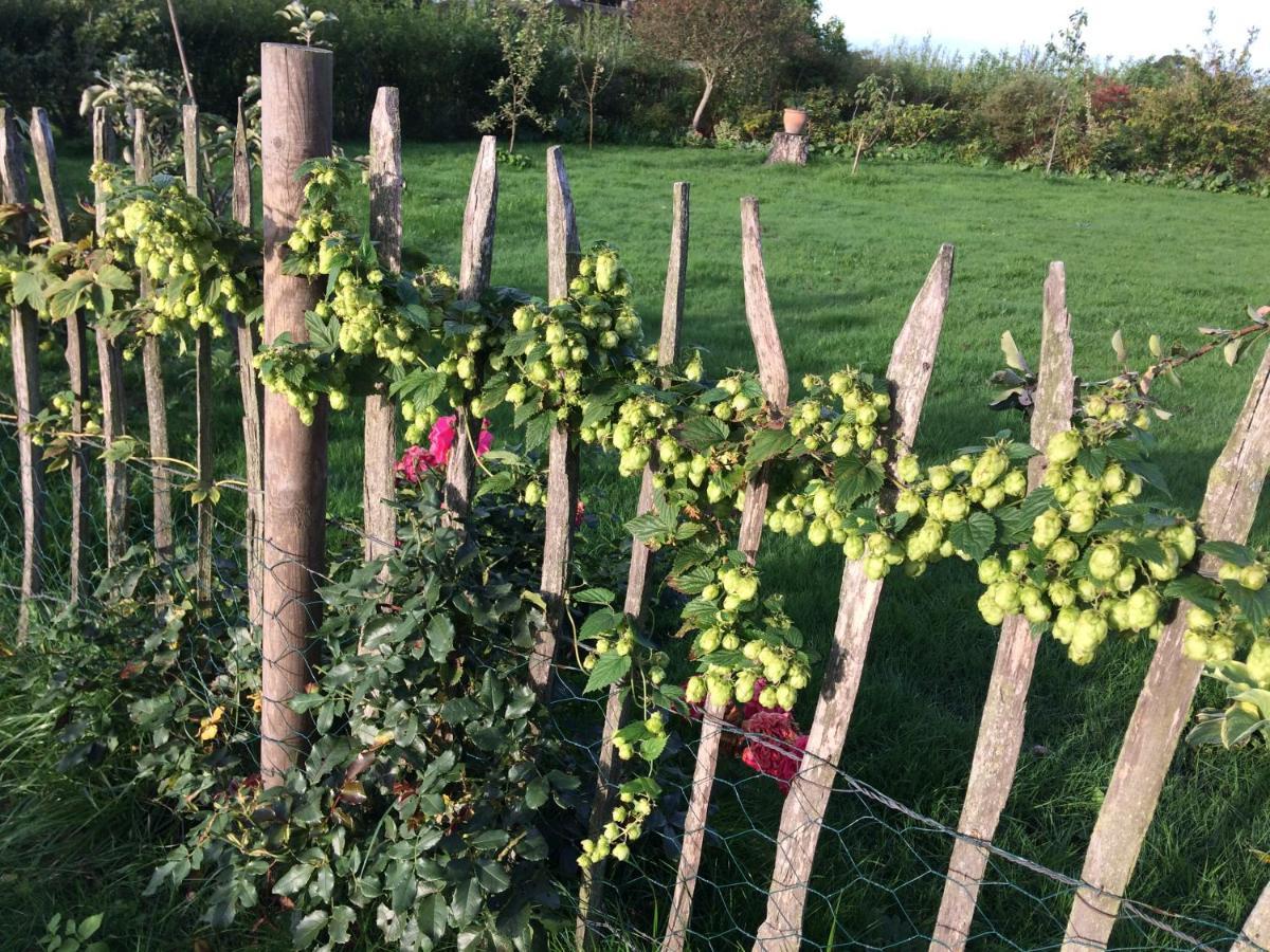 Bed & Breakfast 5 Min From E47 - Dogs Welcome - Cosy Farm Bnb Tureby Exterior photo