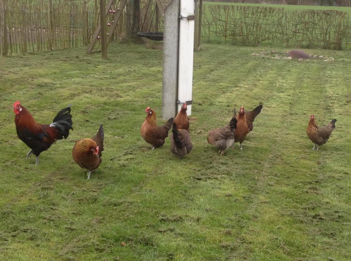 Bed & Breakfast 5 Min From E47 - Dogs Welcome - Cosy Farm Bnb Tureby Exterior photo